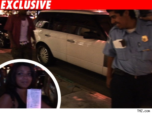 Vida and the Meter Maid