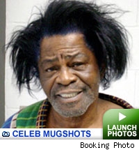 Celeb Mugshots -- click to launch