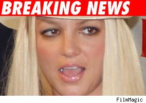 Britney bodyguard
