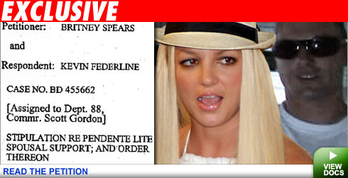 Britney court docs