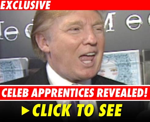 Cast members of Celeb Apprentice revealed!