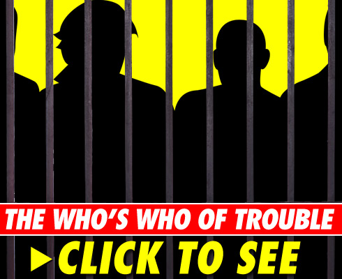 Arresting Celebs - click to launch