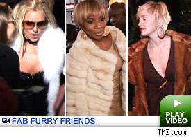 fur frenzy -- click to play