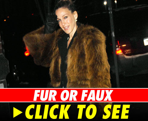 Fur or Faux - click to launch