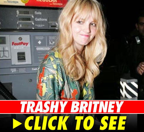 Trashy Brti - click to launch