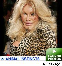 Animal Instincts: Click to Launch!