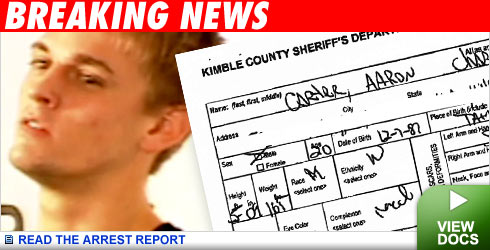read the arrest report
