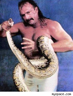 Jake the Snake Roberts