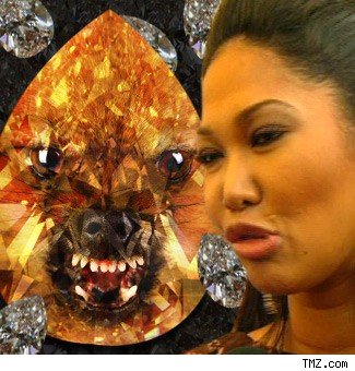 Kimora Lee turning her pet into a diamond?