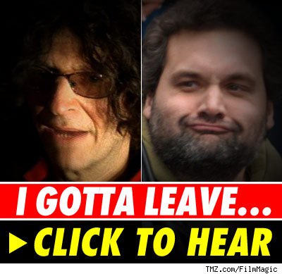 Arite quits Stern?