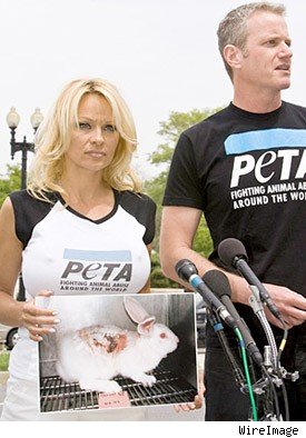 Pam Anderson