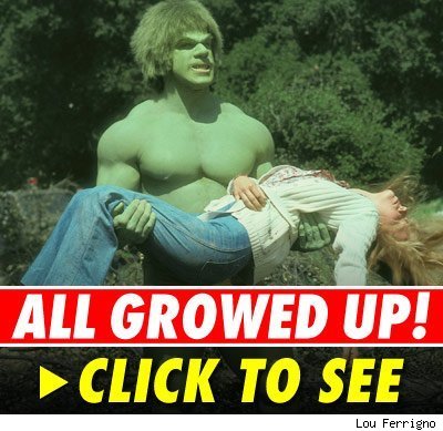 Lou Ferrigno as The Hulk