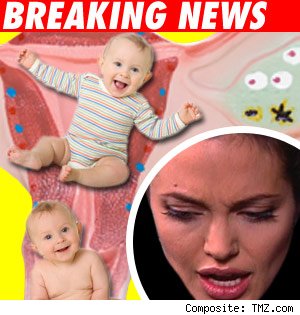 Brangelina baby news