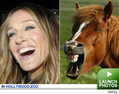Hollywood Zoo -- click to launch