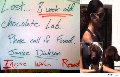 janice dickinson