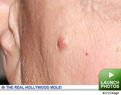 Holy Moley -- click to launch