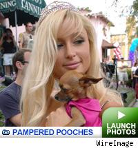 Celeb pets -- click to launch