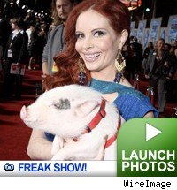 freak show -- click to launch