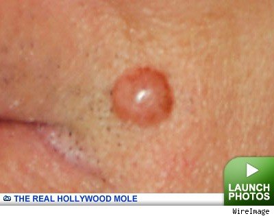 Holy Moley! -- click to launch