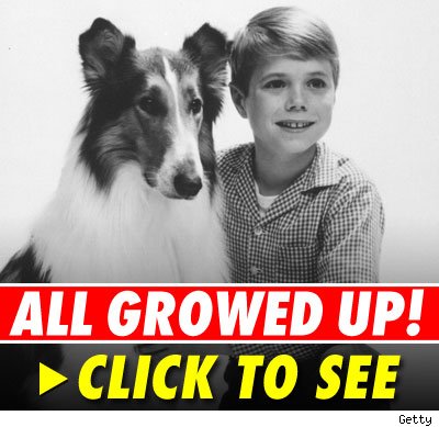Lassie and Timmy