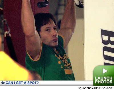 Sweaty Celebs - click to launch