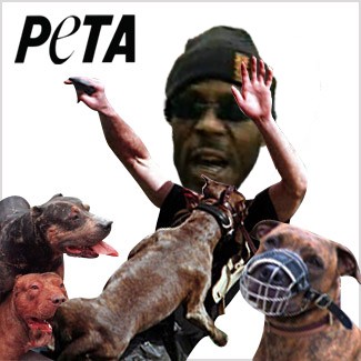 peta  dogs