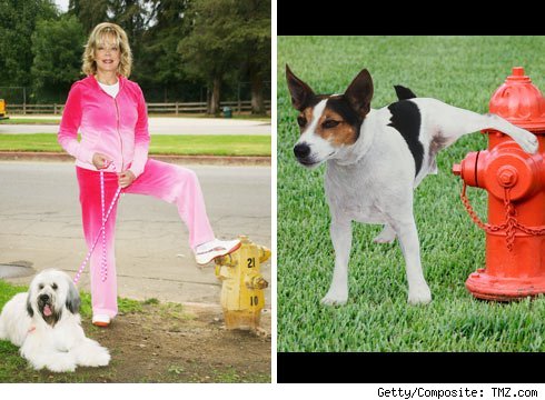 Candy Spelling