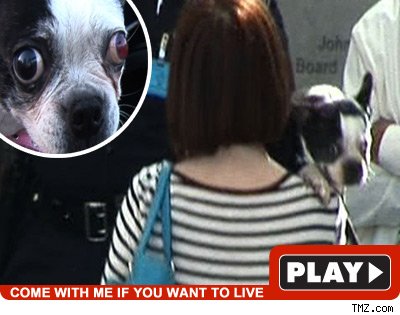 Rose McGowan: Click to watch