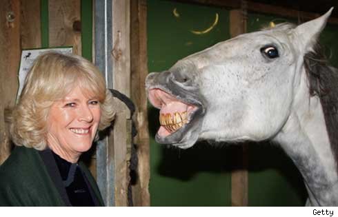 camilla parker bowles young. Camilla Parker Bowles