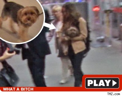 Natalie Portman's dog must be pissed off -- because after her flight into 