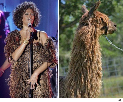 Whitney Houston