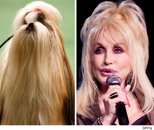 dolly parton see thru dolly parton see thru