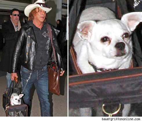mickey rourke