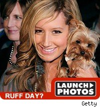 ruff day: launch photos