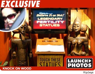 Knock On Wood - Launch Photos