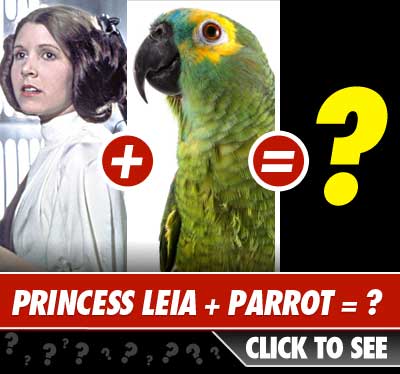 black eyed peas fergie scandal. Filed under: Black Eyed Peas,