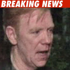 David Caruso