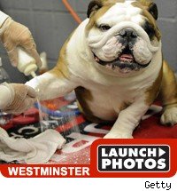 Launch photos