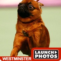 Launch Photos