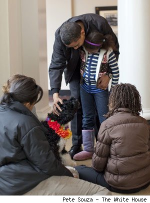 Obama's dog