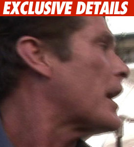 David Hasselhoff