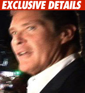 David Hasselhoff