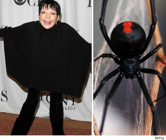 Liza Minnelli
