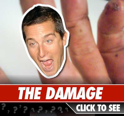 Bear Grylls: Click to reveal
