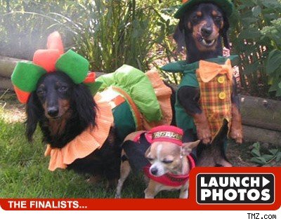 Click to view!