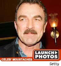 Moustache Gallery
