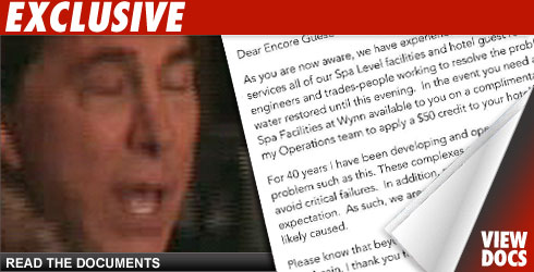 Steve Wynn