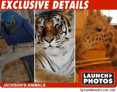 Michael Jackson Neverland Ranch Click to view!