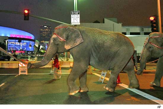The Circus Is in Town for MJ's Memorial The Circus Is in Town for MJ's Memorial
