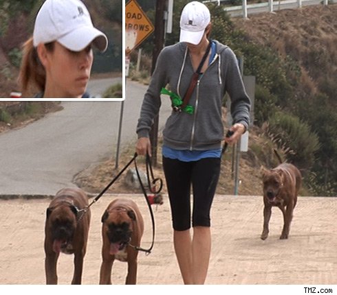 Jessica Biel Unleashes the Hound Jessica Biel